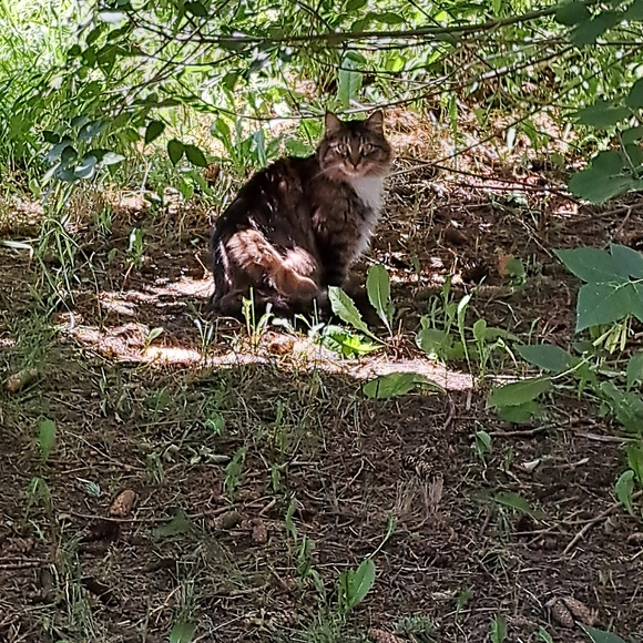 Feed and rescue Mickie - Picture 1 of 1